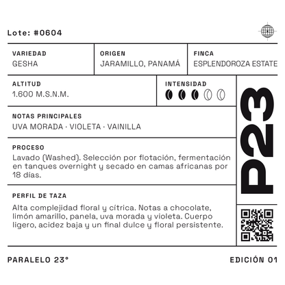 Gesha Lavado P23, café de especialidad de Panamá, 60 g en grano entero (imagen 5)