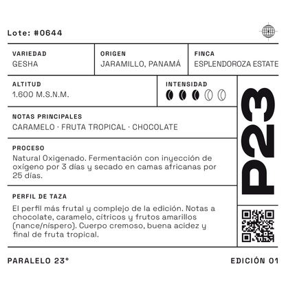 Gesha Natural P23, café de especialidad de Panamá, 60 g en grano entero (imagen 5)